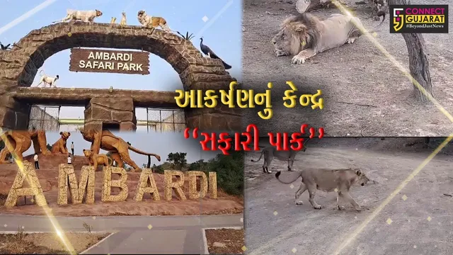 દીવ-દમણ કે, ગોઆ નહીં... પણ હવે સહેલાણીઓ માટે નંબર વન પર્યટન સ્થળ બન્યું અમરેલીનું સફારી પાર્ક...