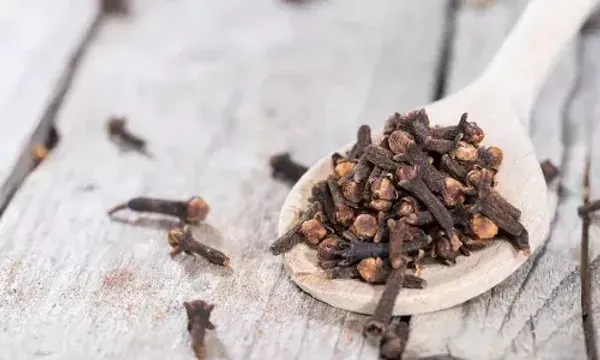 એક નાનું લવિંગ શરીર માટે છે ફાયદાકારક, તેને ખાવાથી ખાંસીથી લઈને સાંધાના દુખાવામાં મળશે રાહત...