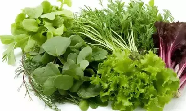 વધુ પડતાં લીલાં પાંદડાંવાળાં શાકભાજી ખાવાં પણ પડી શકે છે મોંઘા, જાણો તેના ગેરફાયદા