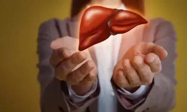 લિવર શરીરનું અતિ મહત્વપૂર્ણ અંગ છે, તો આ સુપર ફૂડ્સ દ્વારા લિવરની સંભાળ રખાશે...