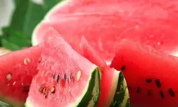 તરબૂચ ખાધા પછી ભૂલથી પણ ન ખાઓ આ 4 વસ્તુઓ, તેનાથી સ્વાસ્થ્યને અનેક નુકસાન થઈ શકે છે.