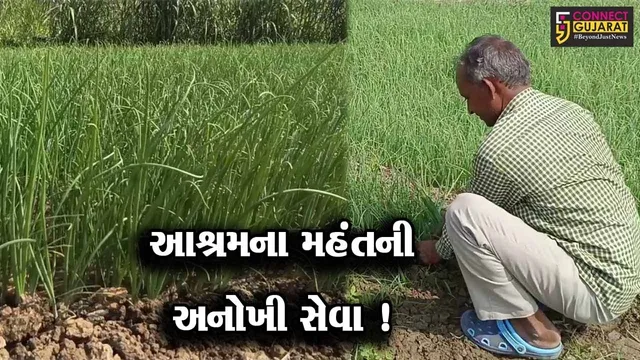 ગીર સોમનાથ: સુત્રાપાડાના મટાણા ગામે આવેલ પાધેશ્વરી આશ્રમના મહંત કરસનદાસ બાપુ કરે છે અનોખી સેવા,જુઓ વિડીયો