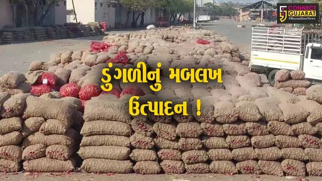 ભાવનગર: માર્કેટિંગ યાર્ડ ખાતે અચોકસ મુદ્દત સુધી ડુંગળી લાવવા પર પ્રતિબંધ,જુઓ શું છે કારણ