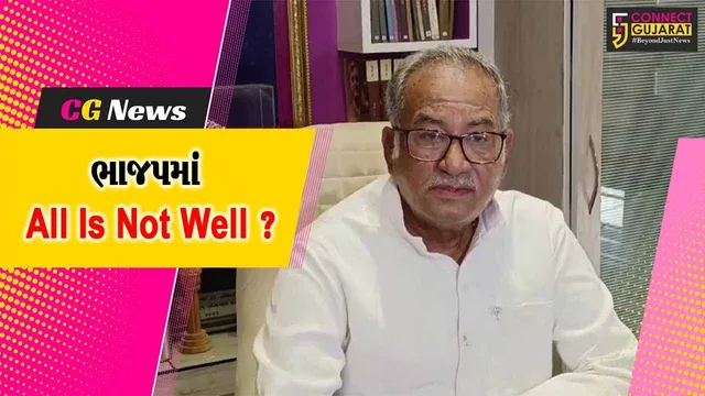 વડોદરા: લશ્કર ક્યાં લડે છે એ જ નથી ખબર, ભાજપના દિગ્ગજ નેતાના નિવેદનથી ખળભળાટ