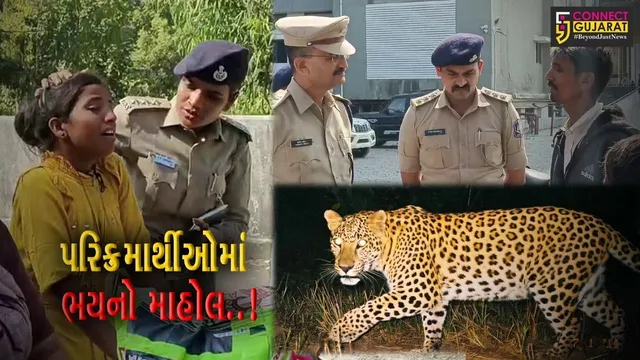 જુનાગઢ : ગિરનારની લીલી પરિક્રમા વેળા દીપડાએ હુમલો કરતાં કિશોરીનું મોત, પરિક્રમાર્થીઓમાં ભયનો માહોલ