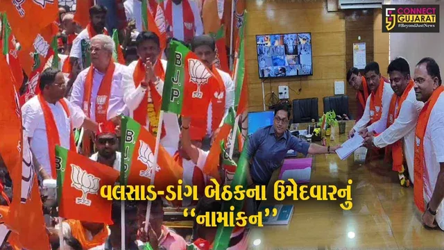 વલસાડ-ડાંગ લોકસભા બેઠક ભાજપના ઉમેદવાર ધવલ પટેલે શક્તિ પ્રદર્શન સાથે ભર્યું નામાંકન