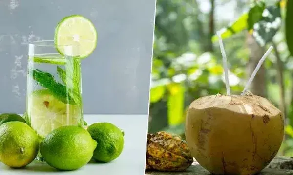 નારિયેળ પાણી કે લીંબુ પાણી, ઉનાળામાં શું વધુ ફાયદાકારક છે ?