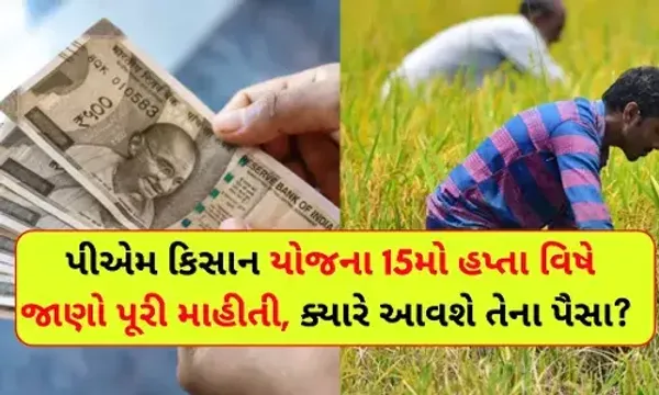 ખેડૂતોના ખાતામાં આજે આવશે PM કિસાન યોજનાનો 15મો હપ્તો, 4 કરોડ ખેડૂતોને નહીં મળે આ લાભ, જાણો કેમ....