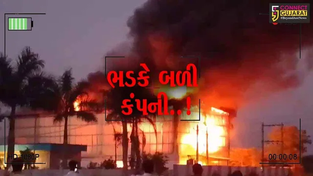 સાબરકાંઠા : હિંમતનગરના રૂપાલ કંપા ગામે ગ્લુ સ્ટિક બનાવતી કંપનીમાં ફાટી નીકળી આગ, ફાયર ફાઇટરો દોડ્યા...