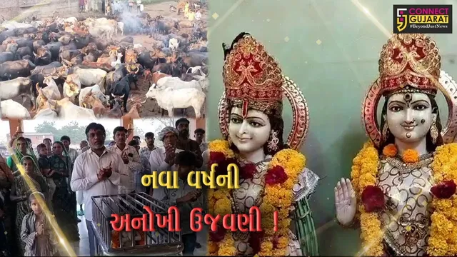 અરવલ્લી: મોડાસાના રામપુરા ગામે ગોપાલક સમાજ દ્વારા અનોખી રીતે નવા વર્ષની ઉજવણી,જુઓ વિડીયો