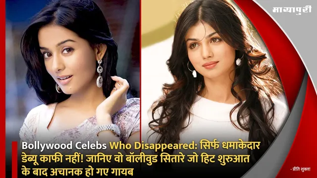 Bollywood Celebs Who Disappeared: सिर्फ धमाकेदार डेब्यू काफी नहीं! जानिए वो बॉलीवुड सितारे जो हिट शुरुआत के बाद अचानक हो गए गायब