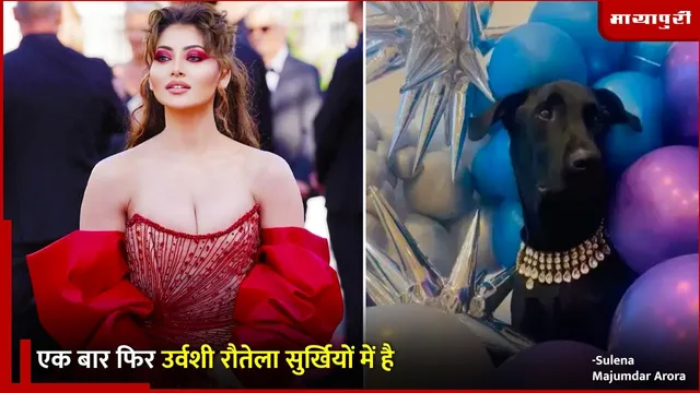 Urvashi Rautela new family member Kylie Rautela: एक बार फिर उर्वशी रौतेला सुर्खियों में है