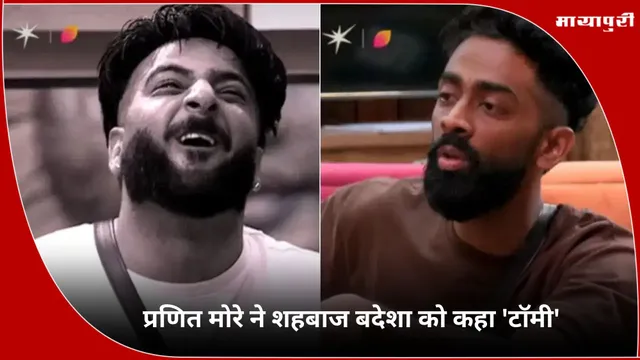 Bigg Boss 19: Pranit More ने Shehbaz Badesha को कहा 'टॉमी'