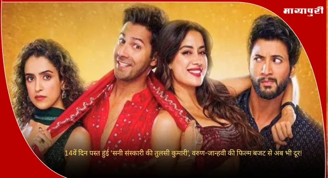 Sunny Sanskari Ki Tulsi Kumari : 14वें दिन पस्त हुई 'सनी संस्कारी की तुलसी कुमारी', वरुण-जान्हवी की फिल्म बजट से अब भी दूर!