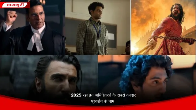 2025 रहा इन अभिनेताओं के सबसे दमदार प्रदर्शन के नाम