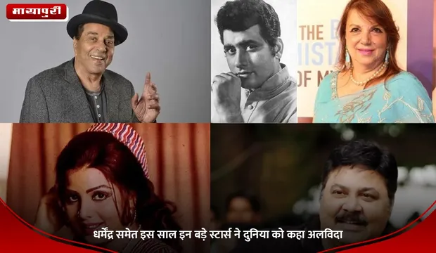 Year Ender 2025: धर्मेंद्र समेत इस साल इन बड़े स्टार्स ने दुनिया को कहा अलविदा