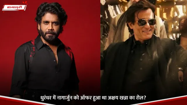Dhurandhar: धुरंधर में Nagarjuna को ऑफर हुआ था Akshaye Khanna का रोल?