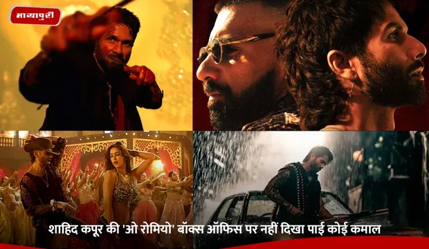 O Romeo Movie: शाहिद कपूर की 'ओ रोमियो' बॉक्स ऑफिस पर नहीं दिखा पाई कोई कमाल