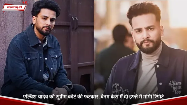 Elvish Yadav: एल्विश यादव को सुप्रीम कोर्ट की फटकार, वेनम केस में दो हफ्ते में मांगी रिपोर्ट
