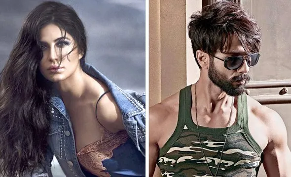 एक्टर शाहिद कपूर के साथ काम करती नज़र आएगी कैटरीना कैफ, साइन किया अपना अगला प्रोजेक्ट