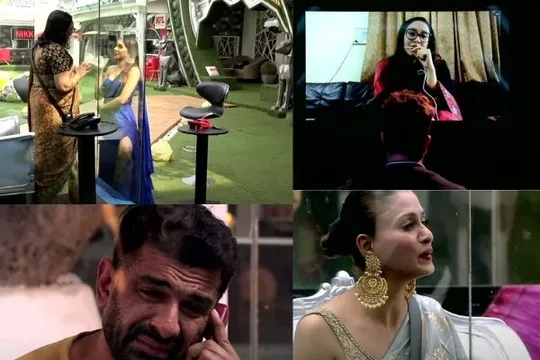 Bigg Boss 14: जैस्मिन के साथ रिश्ते से अली के परिवार को नहीं है आपत्ति