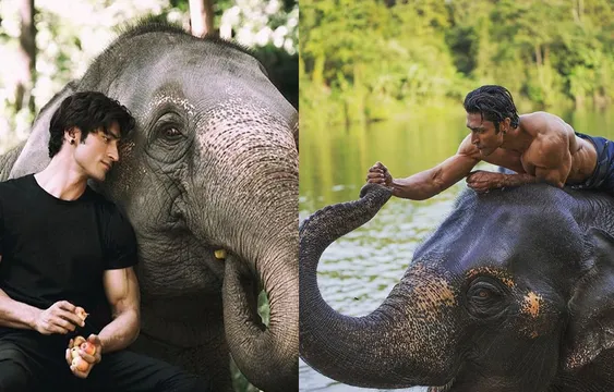 फिल्म 'जंगली' की सीरीज बनाएंगे विद्युत जामवाल