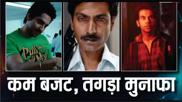 Low Budget Hindi Movies ruled on box office | Vicky Donor | Bheja Fry | Gangs of Wasseypur | Stree