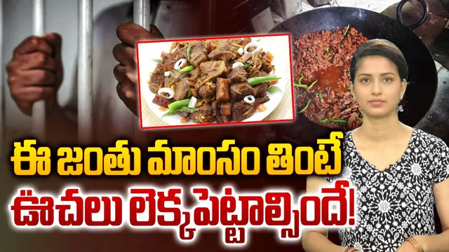 Meat : ఈ మాంసాలు తింటే జైల్లో ఊచలు లెక్కాట్టాల్సిందే..