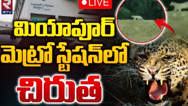 మియాపూర్  మెట్రో స్టేషన్‌ సమీపంలో చిరుత సంచారం.. భయాందోళనలో స్థానికులు