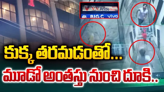Hyderabad: ప్రాణం తీస్తున్న జంతువులు.. తెలంగాణలో విషాద ఘటనలు
