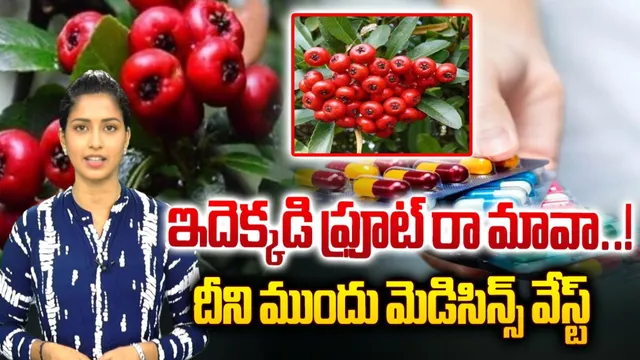 ఇదెక్కడి ఫ్రూట్ రా మావా..!  దీని ముందు మెడిసిన్స్ వేస్ట్