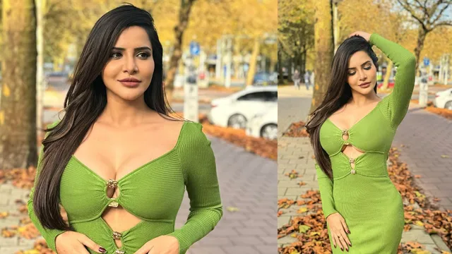 వింటర్ లో మంటలు పుట్టిస్తున్న అషు రెడ్డి.. హాట్ ఫోజులు అదుర్స్