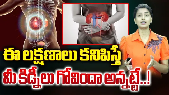 Health Tips: ఈ లక్షణాలు కనిపిస్తే మీ కిడ్నీలు గోవిందా!