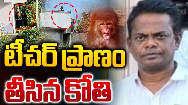 తెలంగాణలో దారుణం.. టీచర్ ప్రాణం తీసిన కోతి