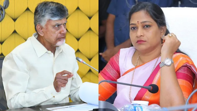 Chandrababu: హోం మంత్రి అనితపై చంద్రబాబు సంచలన కామెంట్స్!
