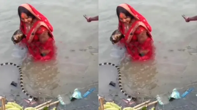 Viral Video: పక్కనే పాము.. పూజ మాత్రం ఆపేది లేదు