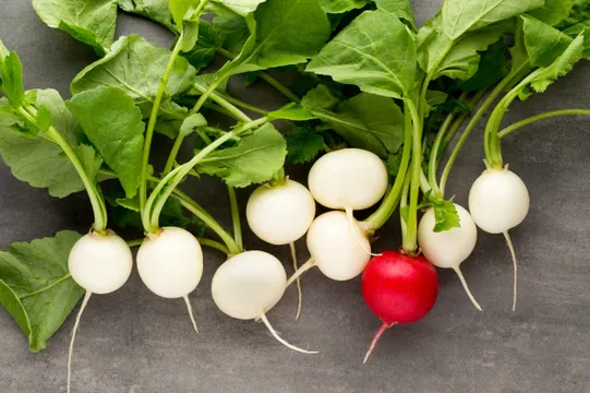Radish: రోజుకు ఒక ముల్లంగి తింటే శరీరంలో జరిగే మార్పులు ఇవే