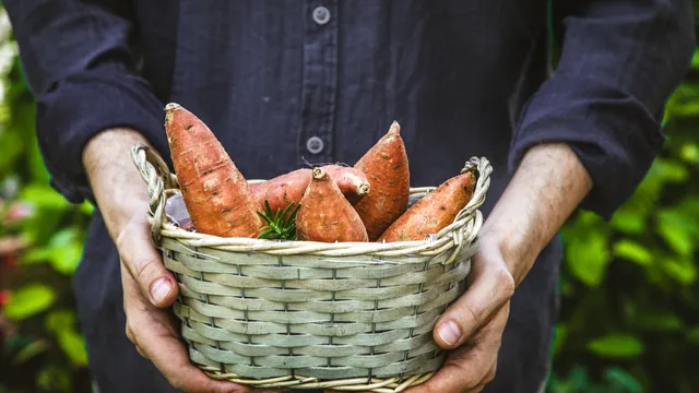 Sweet Potato: కాల్చిన చిలగడ దుంప ఆరోగ్యానికి దొరికిన గొప్ప వరం!