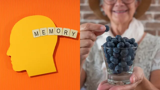 Memory: జ్ఞాపకశక్తిని పెంచే అద్భుత ఆహారాలు ఇవే