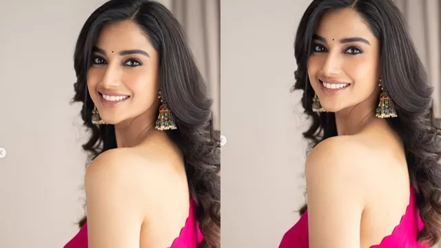 మీనాక్షికి కలిసొచ్చిన 2024.. ఒకటి కాదు రెండు కాదు ఏకంగా..