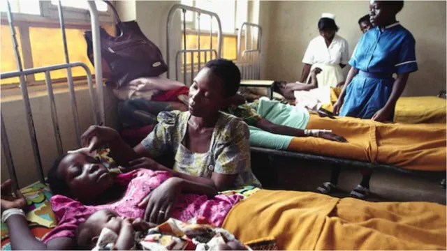 New Virus: భయపెడుతున్న కొత్త వైరస్ డింగా డింగా..అసలేంటిది?