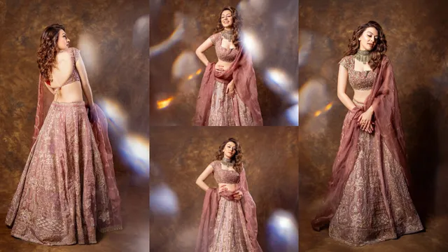 Hansika: హన్సిక అందాలు అదుర్స్.. డిజైనర్ లెహంగా, భారీ నెట్ సెట్ తో స్టన్నింగ్ ఫోజులు!