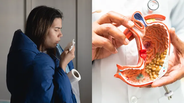 Bad Cholesterol: జలుబు ఉంటే చెడు కొలెస్ట్రాల్‌ పెరుగుతుందా..?