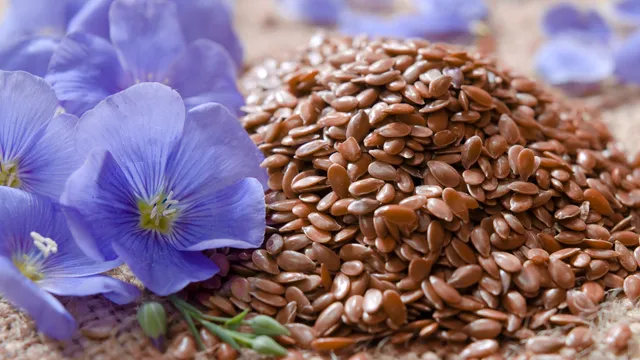Flax Seeds: ప్రతి రోజూ ఇది తింటే వృద్ధ్యాప్యం దరిచేరదు