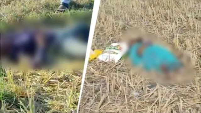 Chhattisghar: ఛత్తీస్‌ఘడ్‌లో ఇంకో దారుణం..జర్నలిస్ట్ ఫ్యామిలీ మర్డర్