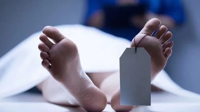 Mother Killed by Daughter: హైదరాబాద్‌లో దారుణం.. టాబ్లెట్‌లు వేసుకోలేదని తల్లిని రాడ్డుతో కొట్టి చంపిన కూతురు