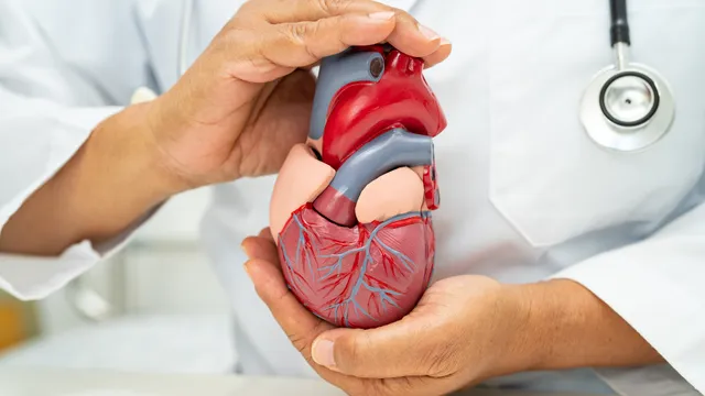 Heart Beat: హార్ట్‌ బీట్‌, పల్స్‌రేట్‌ మధ్య సంబంధం ఏంటి?