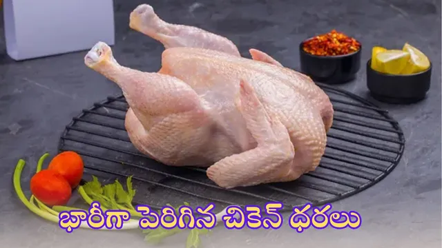 Hyderabad:  అబ్బే బర్డ్ ఫ్లూను పట్టించుకోవట్లే..భారీగా పెరిగిన చికెన్ ధరలు