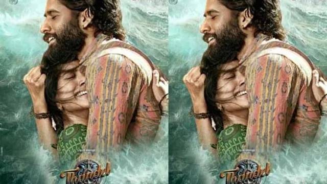 Thandel : తండేల్ ఓటీటీ రిలీజ్ అందులోనే..? ఎంత ధరకు అమ్ముడుపోయాయంటే!