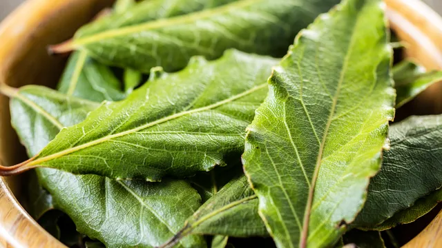 Health Tips: ఈ ఆకు యూరిక్‌ యాసిడ్‌ లో చాలా ప్రయోజనకరమైనది!